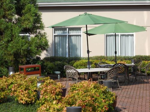 hilton garden inn chesapeake greenbrier