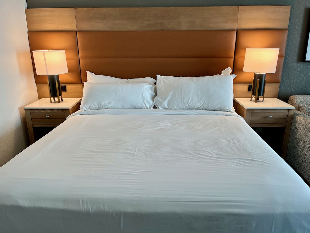 sheraton virginia beach oceanfront hotel