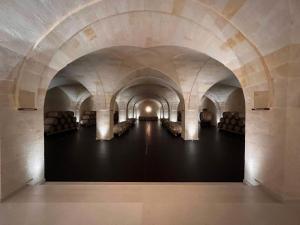 gianfranco fino viticoltore