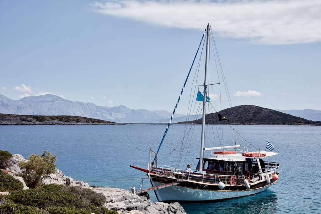 phaea blue