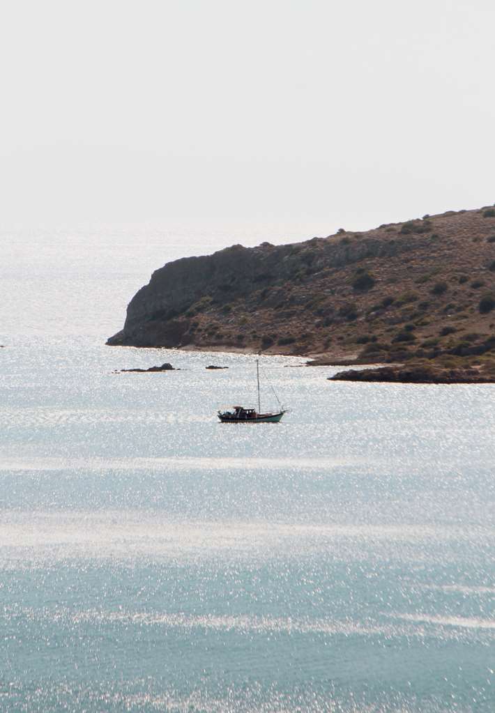 phaea blue