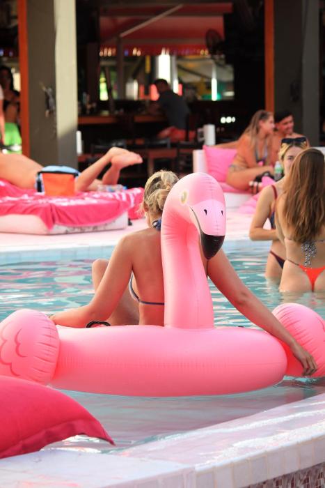 socialtel koh samui party hotel