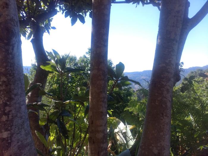 les jardins darbousse
