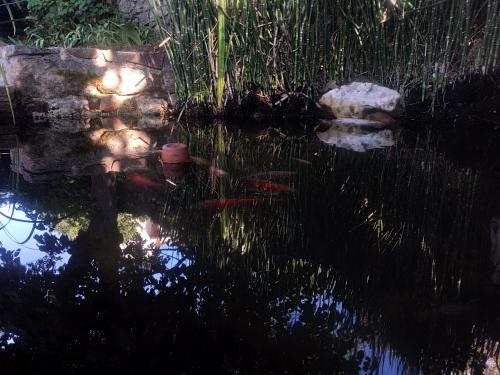 les jardins darbousse