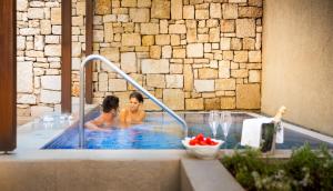 island hotel istra