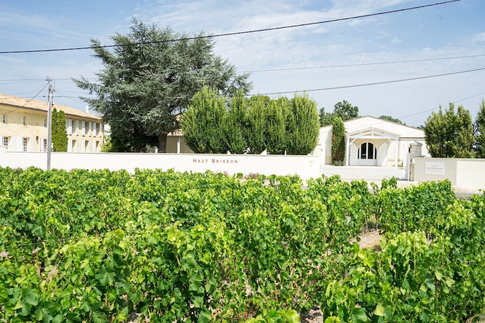 chateau haut brisson