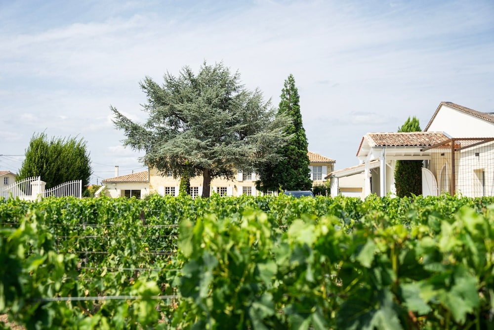 chateau haut brisson