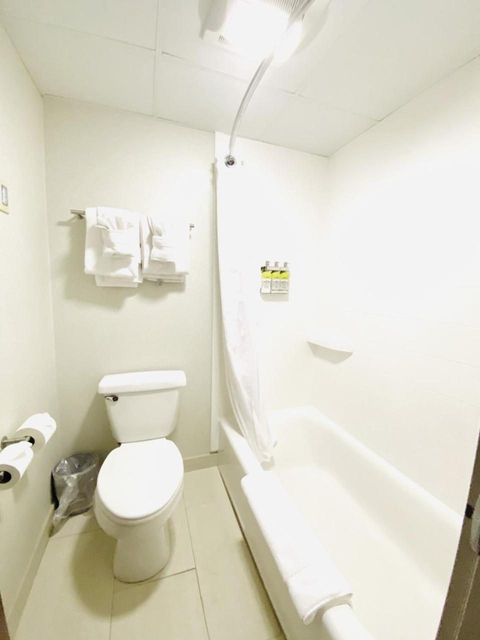 holiday inn express and suites albany airport wolf road