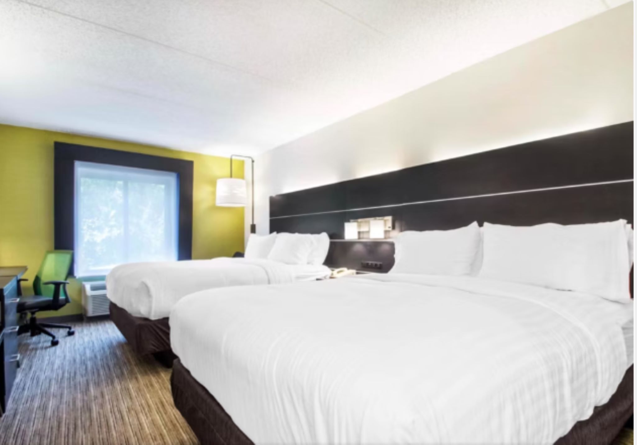 holiday inn express and suites albany airport wolf road
