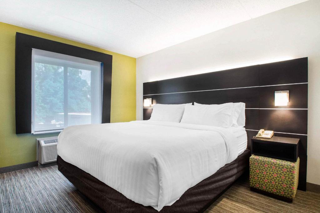 holiday inn express and suites albany airport wolf road