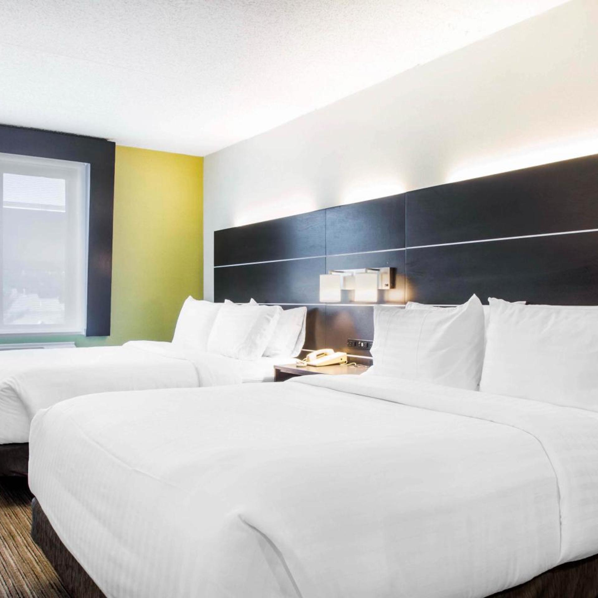 holiday inn express and suites albany airport wolf road