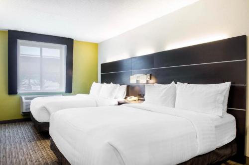 holiday inn express and suites albany airport wolf road