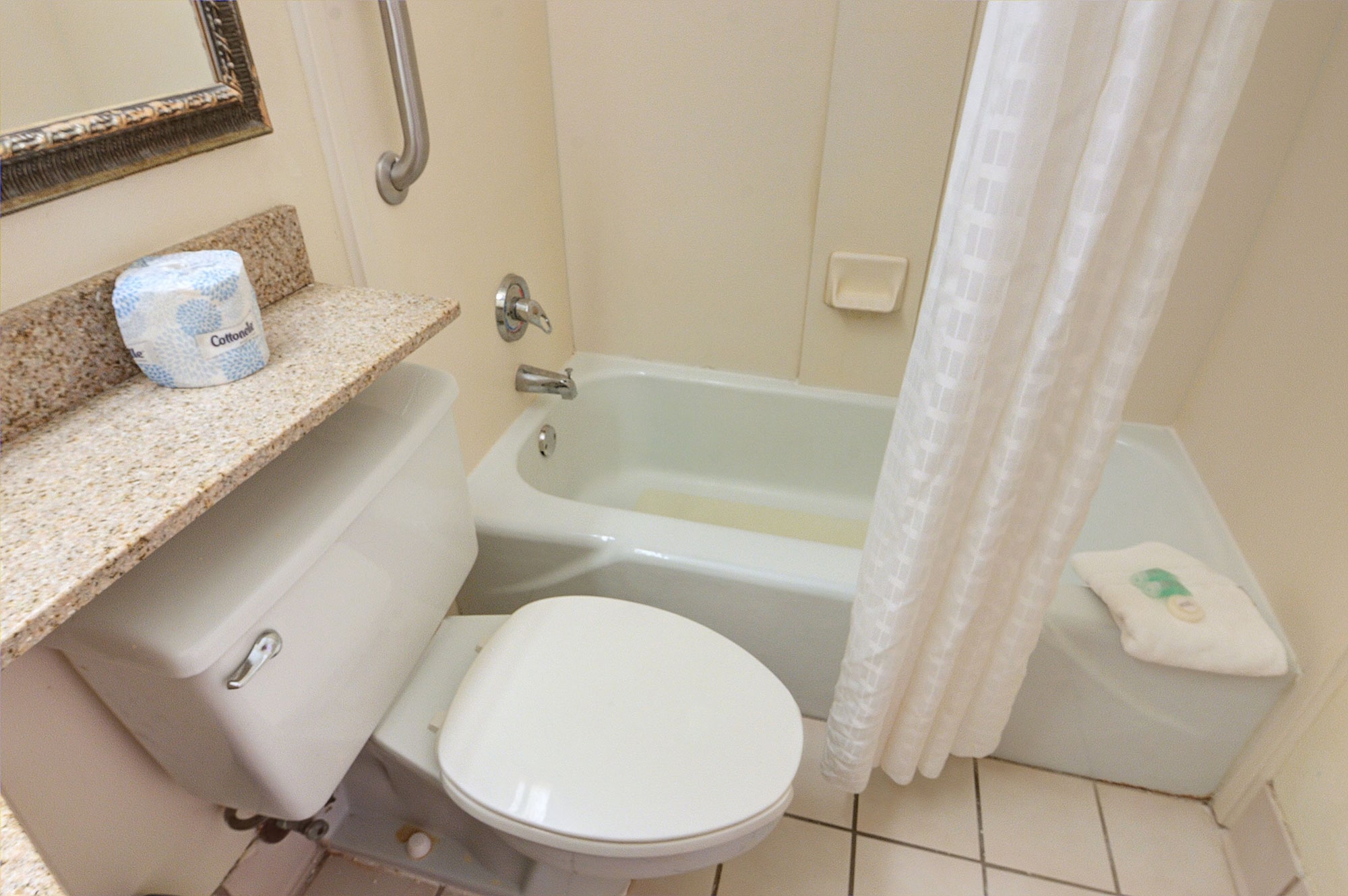 holiday inn gainesville university center by ihg