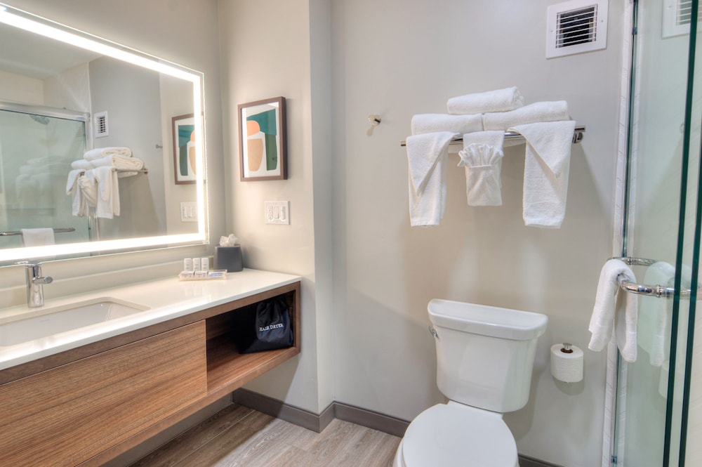 holiday inn gainesville university center by ihg