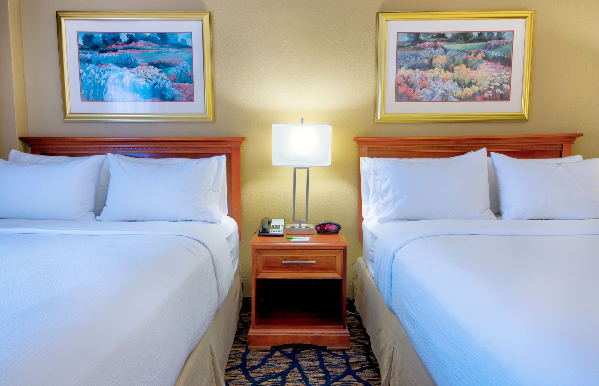 holiday inn gainesville university center by ihg