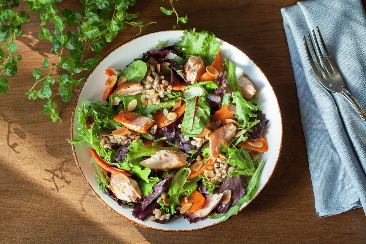 graduate by hilton charlottesville