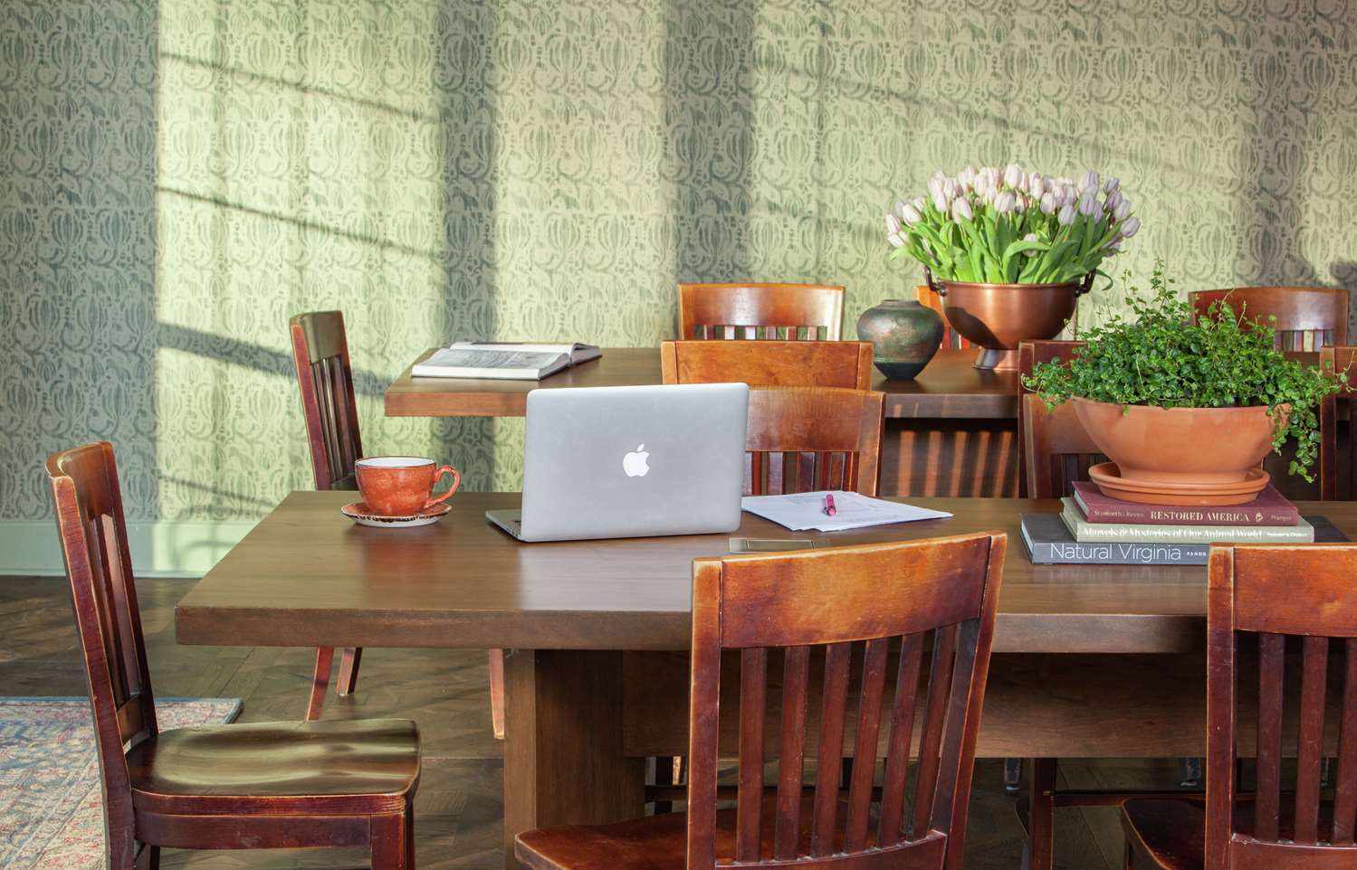 graduate by hilton charlottesville