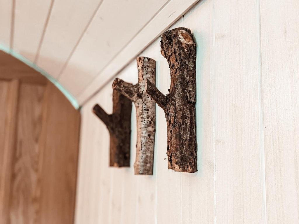 stunning shepherds hut retreat north devon