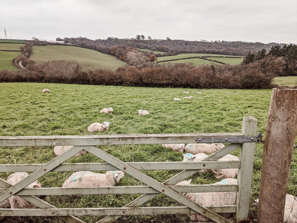 stunning shepherds hut retreat north devon