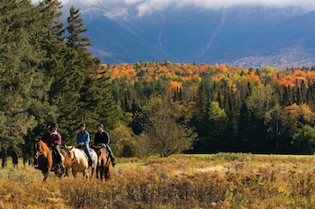 omni mount washington resort and spa