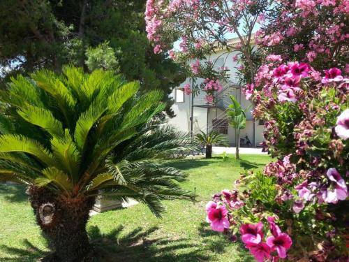 hotel park jonio