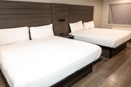 americas best value inn harlingen