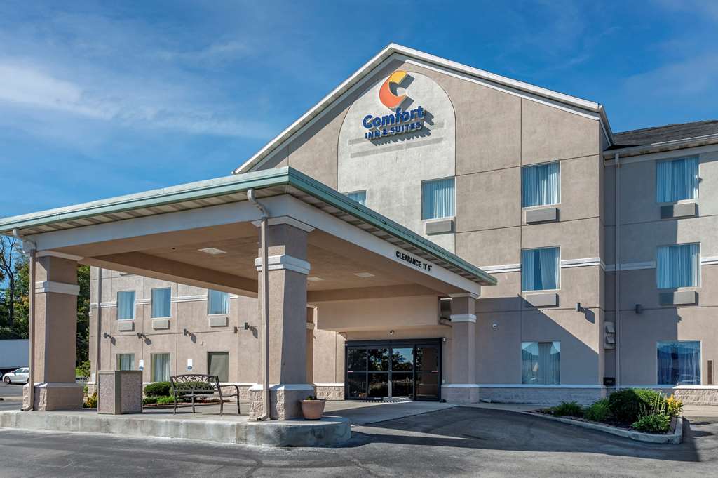 comfort inn and suites