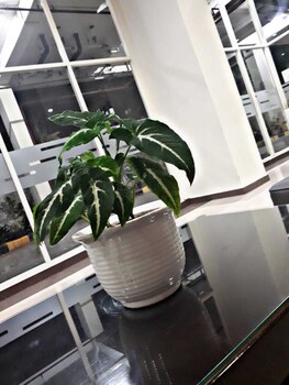 iroom margonda residence 345