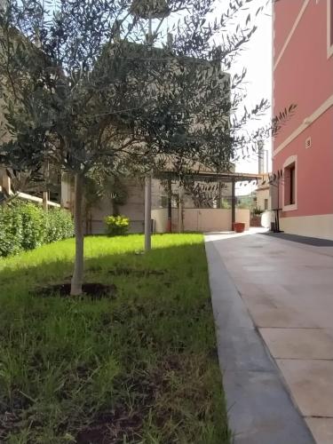 rooms alcentro