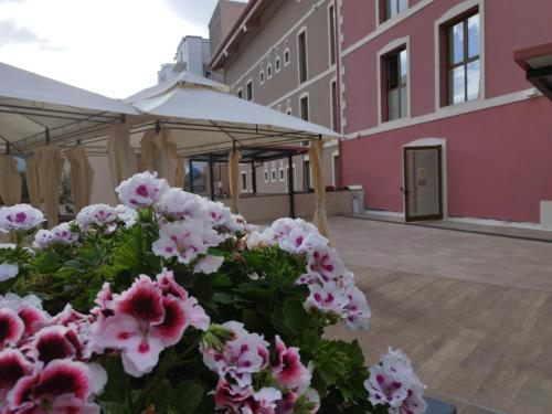 rooms alcentro