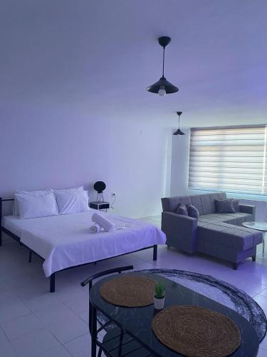 no 19 suite pendik otel