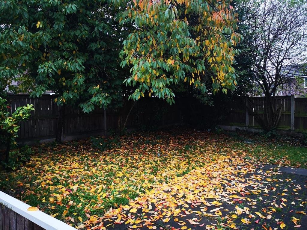 nice residential within easy reach to town