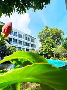 zandz resort