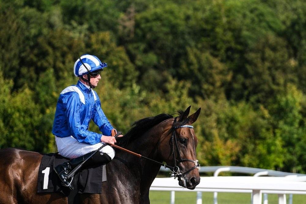 chelmsford