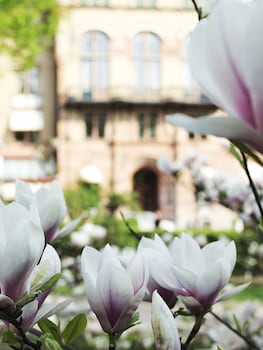 Grand Hotel - Lund,Lund>>Lomma,5 star