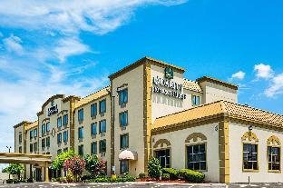 quality inn and suites