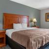 quality inn and suites