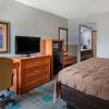 quality inn and suites