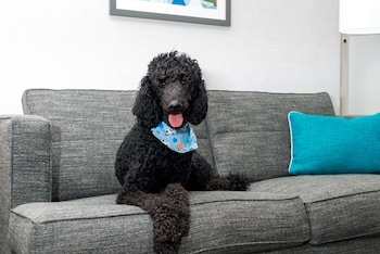 Hampton Inn Hartford/Airport,Hartford>>Connecticut,3 star