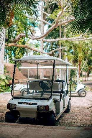 mayaland hotel and bungalows