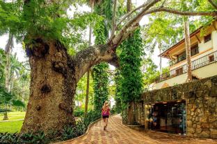 mayaland hotel and bungalows