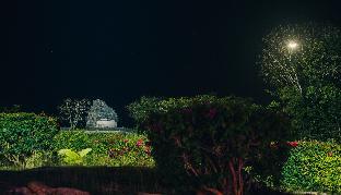 mayaland hotel and bungalows