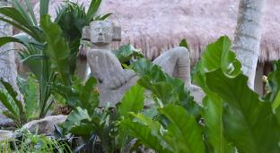 mayaland hotel and bungalows