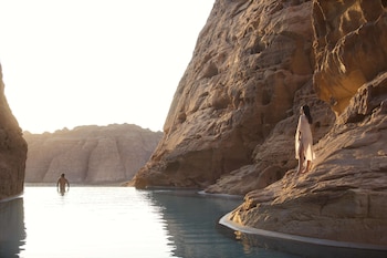 banyan tree alula