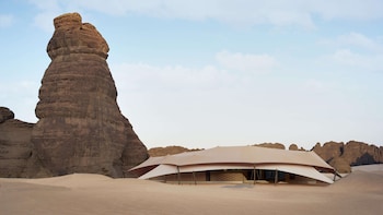 banyan tree alula