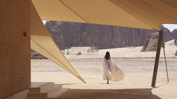 banyan tree alula
