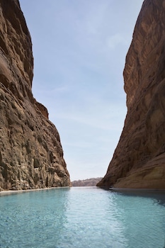 banyan tree alula