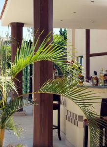 swiss inn plaza