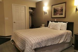 rodeway inn and suites