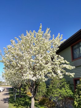 super 8 by wyndham baxter brainerd area